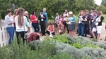 Renowned herbalists lead HerbWalk at Expo West